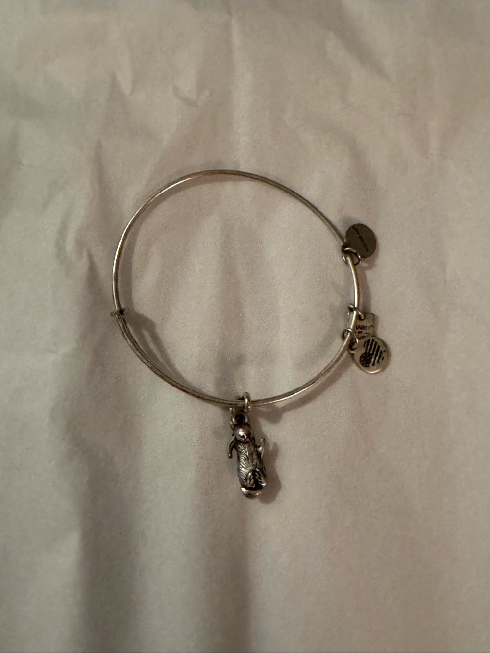 Alex and Ani Silver Otter Charm Expandable Bangle